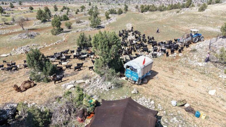 Toroslar’da Yörük göçü başladı: Sarıkeçililer yayla yolunda