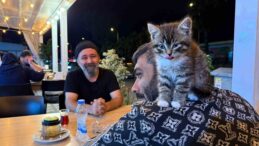 Madde bağımlılığından yavru kedi sayesinde kurtuldu