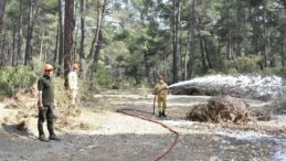 Antalya’da Orman Yangınlarına Karşı Tatbikat Yapıldı