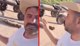 Yer Gaziantep: O vicdansız gözaltına alındı!