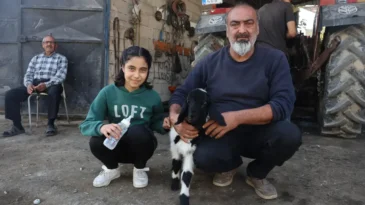 Annesiz Kuzu Karabaş’a Şefkat Dolu Bakım