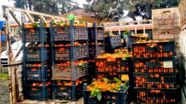 Alaçatı’dan Hatay’a Dayanışma Köprüsü: Umut Taşındı!