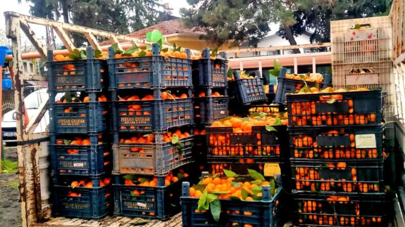 Alaçatı’dan Hatay’a Dayanışma Köprüsü: Umut Taşındı!