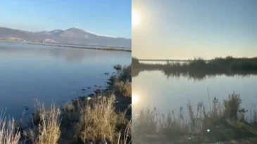 Binlerce Kuşun Şarkı Söylediği Amik Gölü Yeniden Dirilir Mi?