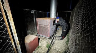 Adana’da Don Önleyici Pervaneler Narenciyeleri Korudu