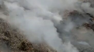 Adana’da Samanlık Yangını Kontrol Altına Alındı