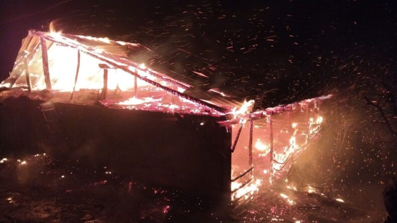 Adana’da Yangın: Ev ve Ahır Kül Oldu