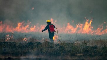 Arjantin Patagonya’da Orman Yangınları: 12 Bin Hektar Kül Oldu