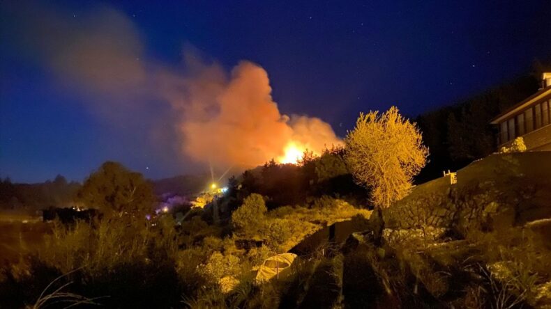 Antalya’da Ormanlık Alanda Yangın Çıktı