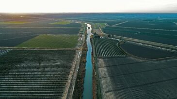 Güneydoğu Anadolu’da Su Kaynaklarındaki Azalış Endişe Veriyor