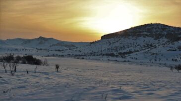Güneydoğu’da Etkili Olan Kar Yağışı Çiftçiyi Sevindirdi