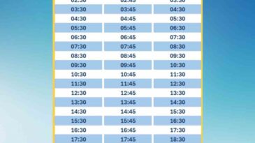 HAVAMAŞ, Çukurova’da Hizmet Vermeye Başladı