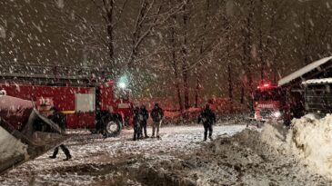 Kahramanmaraş’ta Kar Nedeniyle Çatısı Çöken Besi Ahırı: 18 Büyükbaş Telef Oldu