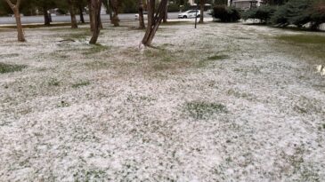 Mersin’de Dolu Yağışı Hayatı Olumsuz Etkiledi