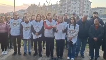 Defne’de Ağaç Kıyımı Tepki Çekti: “Sevgi Parkı’nda Doğa Katliamı Yapılıyor”