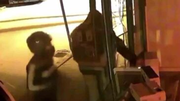 Parke Taşıyla Camları Kırıp Hırsızlık Yaptılar: O Anlar Kamerada