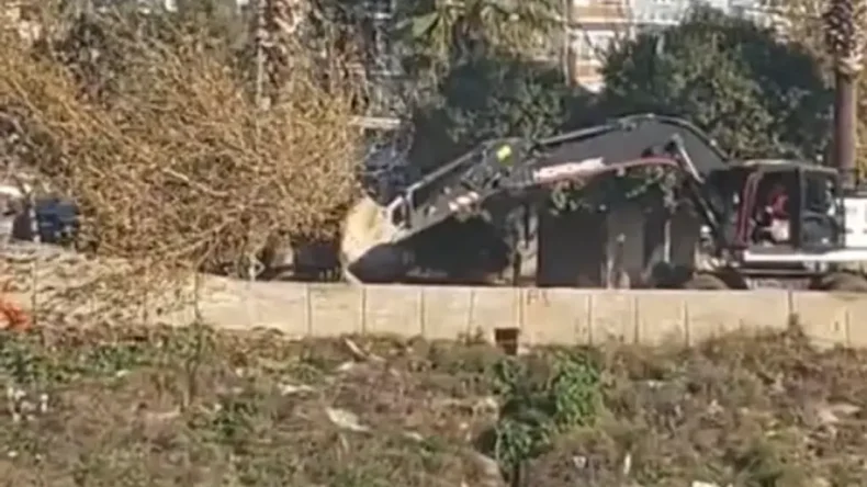 Defne’deki Ağaç Katliamıyla İlgili Yeni Gelişme: Ağaçlara Kim Kıydı!