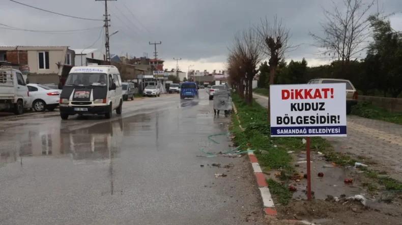Dikkat Kuduz Bölgesidir: Hatay’da 4 Mahalleye Yasak!