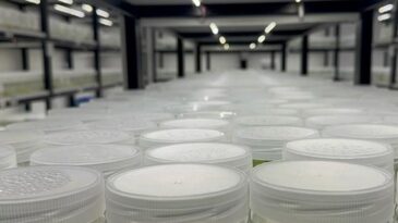 ABD’de Yasa Dışı Biyolojik Laboratuvar Operasyonu: İsrail Vatandaşı Gözaltında