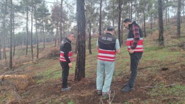 Hatay’da Ormanlarda Tehlike Çanları: Bilimsel Müdahale Başladı