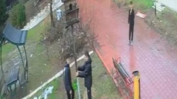 Adana’da Parktaki Kuş Yuvası Parçalandı