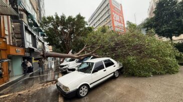 Adana’da Sağanak ve Şiddetli Rüzgar Hayatı Olumsuz Etkiledi
