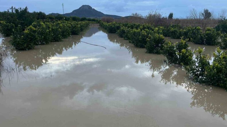 Adana’da Şiddetli Yağış Tarlaları Sular Altında Bıraktı