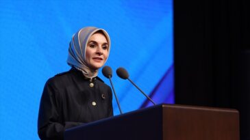 Aile ve Sosyal Hizmetler Bakanı Göktaş’tan Dijital Oyun Platformlarına İlişkin Açıklama