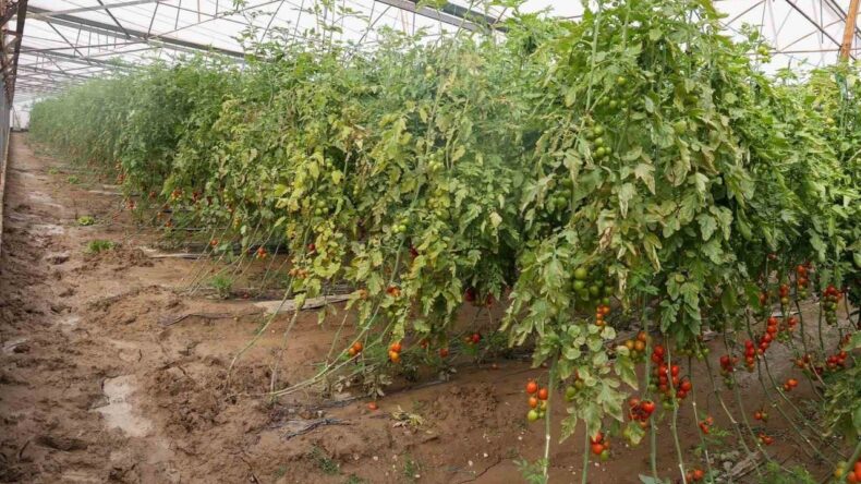 Aksu’da Sağanak, Sel, Hortum ve Doludan 23 Mahalle Zarar Gördü