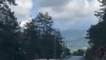 Alanya’da Ehliyetsiz Sürücüye 60 Bin TL Ceza