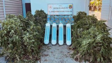 Antalya’da 23,9 Kilo Uyuşturucu Madde Ele Geçirildi