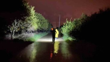 Antalya’da Sel Sularından Kurtarılan 27 Köpek