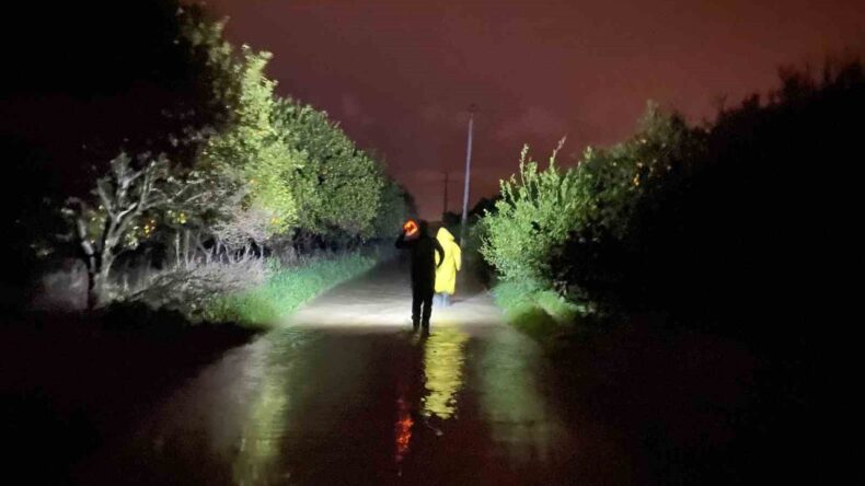 Antalya’da Sel Sularından Kurtarılan 27 Köpek