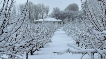Doğuda Soğuk Hava ve Kar Etkisini Sürdürüyor