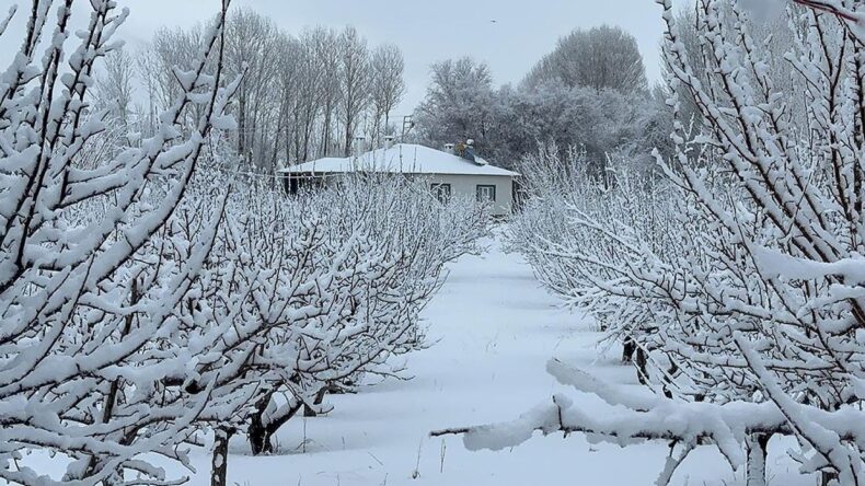 Doğuda Soğuk Hava ve Kar Etkisini Sürdürüyor