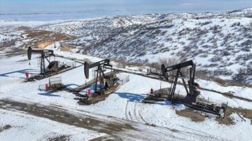 Güneydoğu’daki 4 İl Türkiye’nin Ham Petrol Üretiminde Öne Çıkıyor