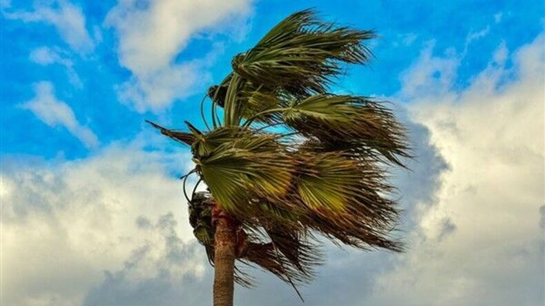 Hatay’da Rüzgâr Sertleşiyor! Yağmur Devam Edecek Mi?