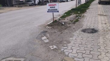 Hatay’da 4 Mahalle Kuduz Nedeniyle Karantinaya Alındı