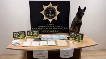 Hatay’da Battaniyeye Zulalanan Zehri Narkotik Köpeği Buldu