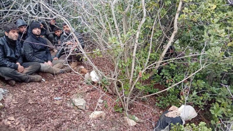 Hatay’da Düzensiz Göçmen Operasyonu: 30 Kişi Yakalandı