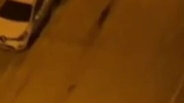 İki Grup Arasında Tüfekli Kavga Kamerada