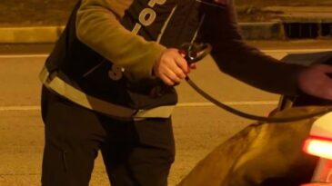 Isparta’da Denetimlerde 32 Bin 878 Şahıs Sorgulandı