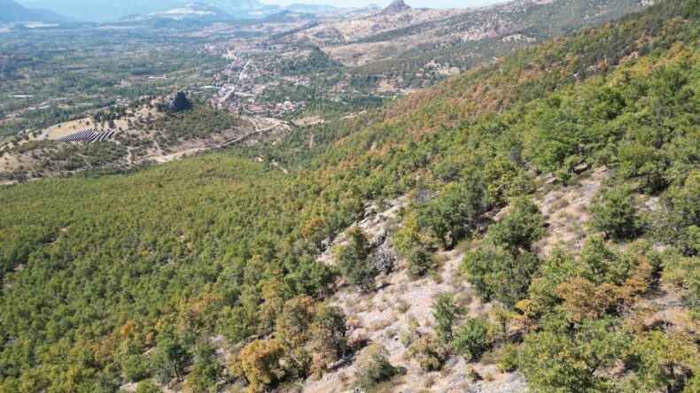 Hatay’da 440 Bin Hektar Ormanlık Alan İmara Açılıyor