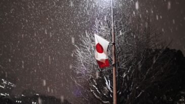 Japonya’da Şiddetli Kış Şartları Can Kaybını 35’e Çıkardı