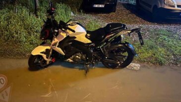 Köpeğe Çarpmamak İçin Manevra Yapan Motosiklet Sürücüsü Yaralandı