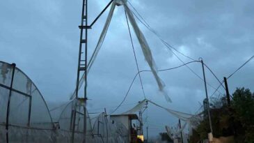 Kumluca’da Yağmur ve Hortum Seraları Vurdu