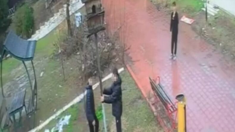 Kuş Yuvasını Parçalayan 4 Çocuğa Ev Hapsi Cezası