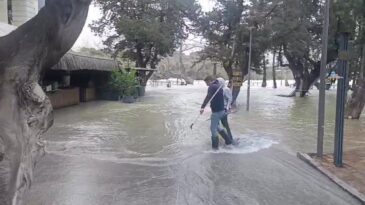 Manavgat Irmağı’nda Su Debisi Yükseldi, İşletmeleri Su Bastı