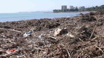 Mersin Sahillerinde Selin Taşıdığı Balçıklar Temizleniyor