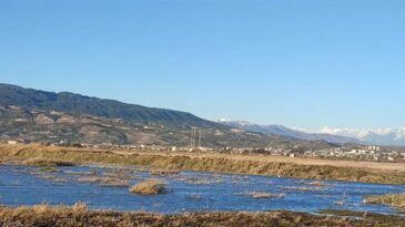 Milleyha Tamamen Ava Kapatıldı: Hatay’ın Doğası İçin Kritik Adım